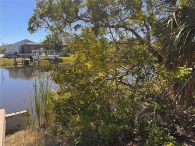 FANTASTIC GULF ACCESS WATERFRONT LOT in the highly desired Gulf on Rotonda Golf and Country Club - Long Marsh  in Florida - for sale on GolfHomes.com, golf home, golf lot