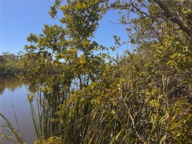 FANTASTIC GULF ACCESS WATERFRONT LOT in the highly desired Gulf on Rotonda Golf and Country Club - Long Marsh  in Florida - for sale on GolfHomes.com, golf home, golf lot