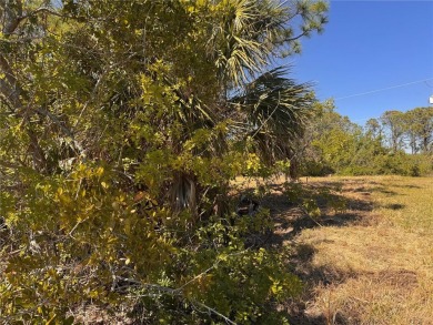 FANTASTIC GULF ACCESS WATERFRONT LOT in the highly desired Gulf on Rotonda Golf and Country Club - Long Marsh  in Florida - for sale on GolfHomes.com, golf home, golf lot