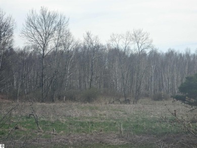 A beautiful 80 acre parcel with a mix of open and wooded land on Singing Bridge Golf Course in Michigan - for sale on GolfHomes.com, golf home, golf lot