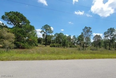 Discover the perfect canvas for your dream home on this on Mirror Lakes Golf Club in Florida - for sale on GolfHomes.com, golf home, golf lot