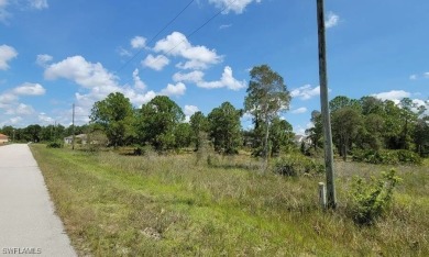 Discover the perfect canvas for your dream home on this on Mirror Lakes Golf Club in Florida - for sale on GolfHomes.com, golf home, golf lot