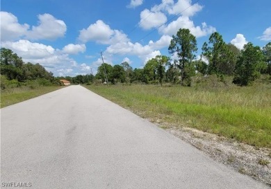 Discover the perfect canvas for your dream home on this on Mirror Lakes Golf Club in Florida - for sale on GolfHomes.com, golf home, golf lot