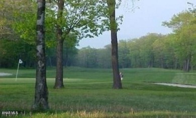 Need a break? Want to get away? Come fall in love with the on Blue Knob Rec Area Golf Course in Pennsylvania - for sale on GolfHomes.com, golf home, golf lot