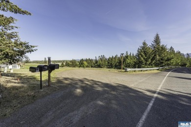 Beautiful parcel up Cays Rd. amongst gorgeous estate homes on on The Cedars At Dungeness in Washington - for sale on GolfHomes.com, golf home, golf lot