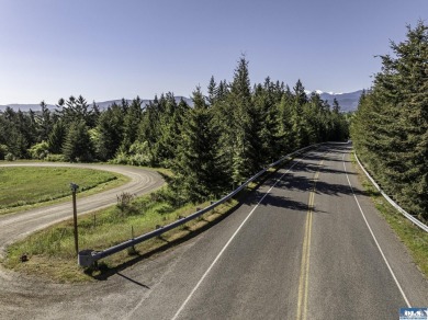 Beautiful parcel up Cays Rd. amongst gorgeous estate homes on on The Cedars At Dungeness in Washington - for sale on GolfHomes.com, golf home, golf lot