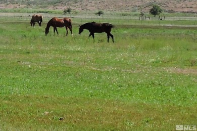 Valuable surface water rights and entitlements. Excellent on Carson Valley Golf Course in Nevada - for sale on GolfHomes.com, golf home, golf lot