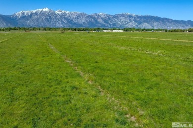 Prime land with valuable surface water rights and entitlements on Carson Valley Golf Course in Nevada - for sale on GolfHomes.com, golf home, golf lot