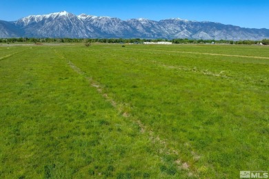 Valuable surface water rights and entitlements. Excellent on Carson Valley Golf Course in Nevada - for sale on GolfHomes.com, golf home, golf lot