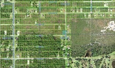 Build your ideal Florida retreat on this 0.55-acre vacant lot at on Indian Lake Estates Golf and Country Club in Florida - for sale on GolfHomes.com, golf home, golf lot