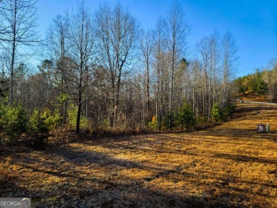 Located on North Edgewater Trail within the gated Currahee Club on Currahee Golf Club in Georgia - for sale on GolfHomes.com, golf home, golf lot