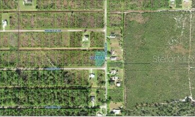 Build your ideal Florida retreat on this 0.55-acre vacant lot at on Indian Lake Estates Golf and Country Club in Florida - for sale on GolfHomes.com, golf home, golf lot
