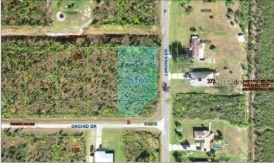 Build your ideal Florida retreat on this 0.55-acre vacant lot at on Indian Lake Estates Golf and Country Club in Florida - for sale on GolfHomes.com, golf home, golf lot