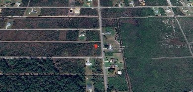 Build your ideal Florida retreat on this 0.55-acre vacant lot at on Indian Lake Estates Golf and Country Club in Florida - for sale on GolfHomes.com, golf home, golf lot