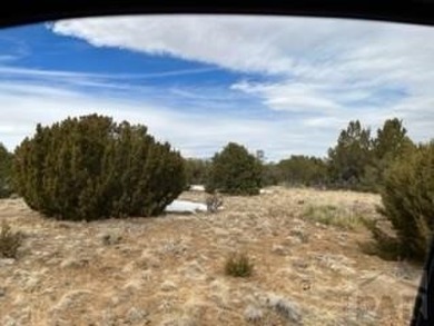 Priced to sell!!  Don't miss out on this 3.17 Acres. Private lot on Grandote Peaks Golf Club in Colorado - for sale on GolfHomes.com, golf home, golf lot