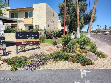 10++ Scottsdale/Paradise Valley/ Arcadia location!! MOVE-IN on The Phoenician  in Arizona - for sale on GolfHomes.com, golf home, golf lot