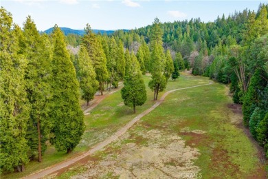 Golf course front!  Rare opportunity to build directly on the on Mace Meadow Golf and Country Club in California - for sale on GolfHomes.com, golf home, golf lot