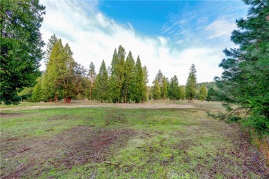 Golf course front!  Rare opportunity to build directly on the on Mace Meadow Golf and Country Club in California - for sale on GolfHomes.com, golf home, golf lot