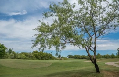 Amazing Gray Myst open floor plan is perfection with 2 living on Frisco Lakes Golf Course in Texas - for sale on GolfHomes.com, golf home, golf lot