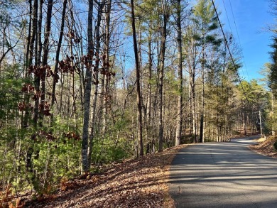 **Prime Building Lot in Buckhorn Estates - Your Mountain Escape on White Path Golf Club in Georgia - for sale on GolfHomes.com, golf home, golf lot