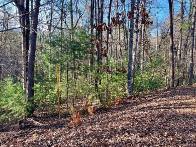 **Prime Building Lot in Buckhorn Estates - Your Mountain Escape on White Path Golf Club in Georgia - for sale on GolfHomes.com, golf home, golf lot