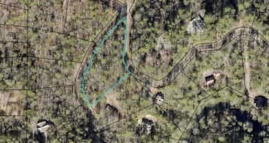 **Prime Building Lot in Buckhorn Estates - Your Mountain Escape on White Path Golf Club in Georgia - for sale on GolfHomes.com, golf home, golf lot