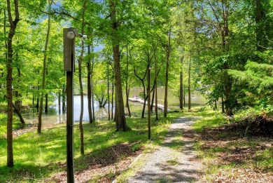 Your opportunity to own one of the most amazing homes on Kerr on Kinderton Country Club in Virginia - for sale on GolfHomes.com, golf home, golf lot