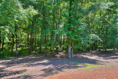 Maximize your lifestyle with this beautiful 5 bedrooms, 3.5 on Mount Vintage Plantation and Golf Club  in South Carolina - for sale on GolfHomes.com, golf home, golf lot