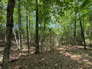 Timber Ridge Parcel on Timber Ridge Golf Club in Wisconsin - for sale on GolfHomes.com, golf home, golf lot