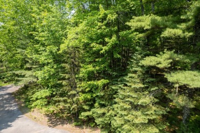 Timber Ridge Parcel on Timber Ridge Golf Club in Wisconsin - for sale on GolfHomes.com, golf home, golf lot