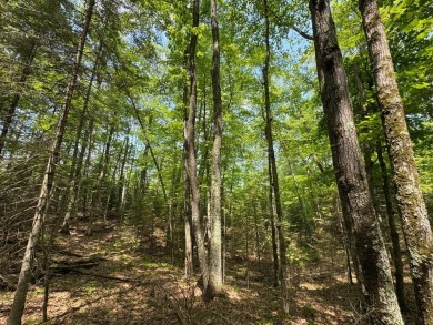 Timber Ridge Parcel on Timber Ridge Golf Club in Wisconsin - for sale on GolfHomes.com, golf home, golf lot