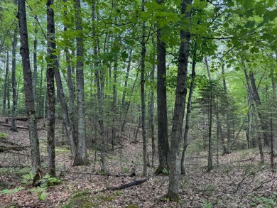 Timber Ridge Parcel on Timber Ridge Golf Club in Wisconsin - for sale on GolfHomes.com, golf home, golf lot