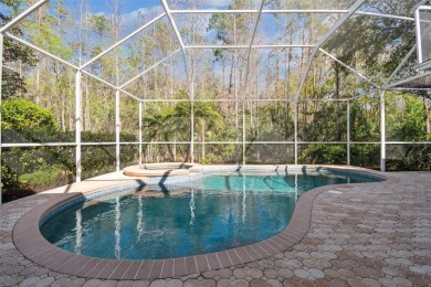 Absolutely gorgeous MOVE-IN READY POOL home now available in the on Westchase Golf Club in Florida - for sale on GolfHomes.com, golf home, golf lot