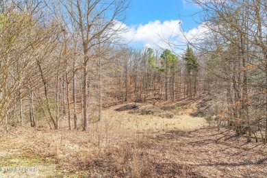 2 STORY WITH UNFINISHED BASEMENT ON ~14 ACRES WITH BARN! Escape on Riverview Golf Course in Tennessee - for sale on GolfHomes.com, golf home, golf lot