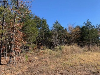 Beautiful 1.71 acres just minutes from town and close to the on Russellville Country Club in Arkansas - for sale on GolfHomes.com, golf home, golf lot