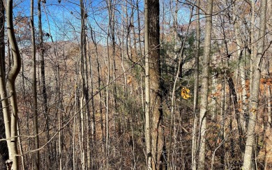 Great building site on large lot within the Mountain Harbour on Mountain Harbour Golf Club in North Carolina - for sale on GolfHomes.com, golf home, golf lot