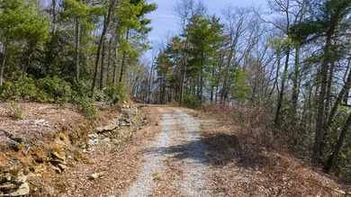 Welcome to your very own mountaintop within the exclusive Silver on Headwaters Golf Club in North Carolina - for sale on GolfHomes.com, golf home, golf lot