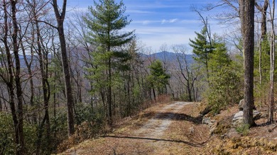 Welcome to your very own mountaintop within the exclusive Silver on Headwaters Golf Club in North Carolina - for sale on GolfHomes.com, golf home, golf lot