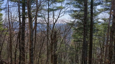 Welcome to your very own mountaintop within the exclusive Silver on Headwaters Golf Club in North Carolina - for sale on GolfHomes.com, golf home, golf lot