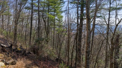 Welcome to your very own mountaintop within the exclusive Silver on Headwaters Golf Club in North Carolina - for sale on GolfHomes.com, golf home, golf lot