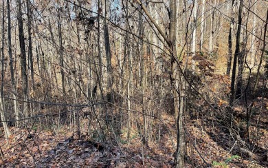 Nice building lot located in Mountain Harbour. Mountain Harbour on Mountain Harbour Golf Club in North Carolina - for sale on GolfHomes.com, golf home, golf lot