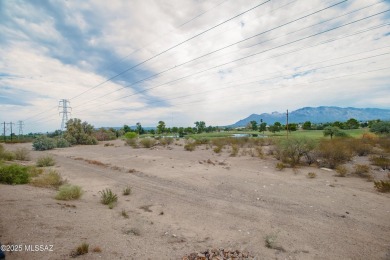 RARE FIND - LARGEST LOT (0.22 ACRE) IN THE COMMUNITY! This on Silverbell Golf Course in Arizona - for sale on GolfHomes.com, golf home, golf lot