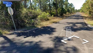 Prime residential lot, perfect for dream home or vacation home on Mirror Lakes Golf Club in Florida - for sale on GolfHomes.com, golf home, golf lot