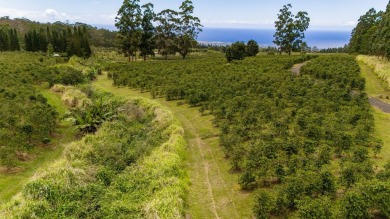 Welcome to Cloud Rest-a serene escape tucked within the lush and on Sea Mountain Golf Course in Hawaii - for sale on GolfHomes.com, golf home, golf lot