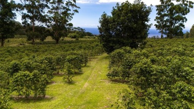 Welcome to Cloud Rest-a serene escape tucked within the lush and on Sea Mountain Golf Course in Hawaii - for sale on GolfHomes.com, golf home, golf lot