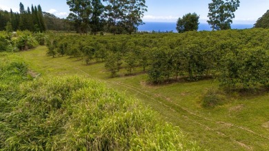 Welcome to Cloud Rest-a serene escape tucked within the lush and on Sea Mountain Golf Course in Hawaii - for sale on GolfHomes.com, golf home, golf lot