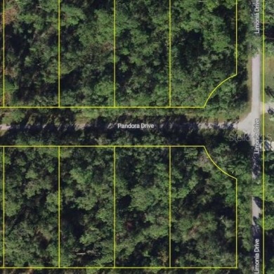Discover the perfect canvas for your dream home on this serene on Indian Lake Estates Golf and Country Club in Florida - for sale on GolfHomes.com, golf home, golf lot