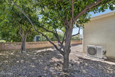 Completely Remodeled 3 Bed, 2 Bath Home in Leisure World! on Leisure World Country Club in Arizona - for sale on GolfHomes.com, golf home, golf lot