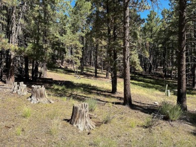This flat lot near the golf course on a quiet curve is the on Angel Fire Resort Country Club in New Mexico - for sale on GolfHomes.com, golf home, golf lot