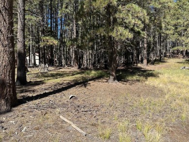 This flat lot near the golf course on a quiet curve is the on Angel Fire Resort Country Club in New Mexico - for sale on GolfHomes.com, golf home, golf lot
